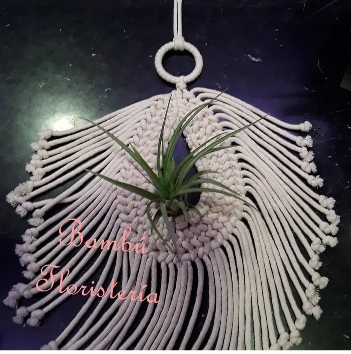 Floristería Bambú Sevilla