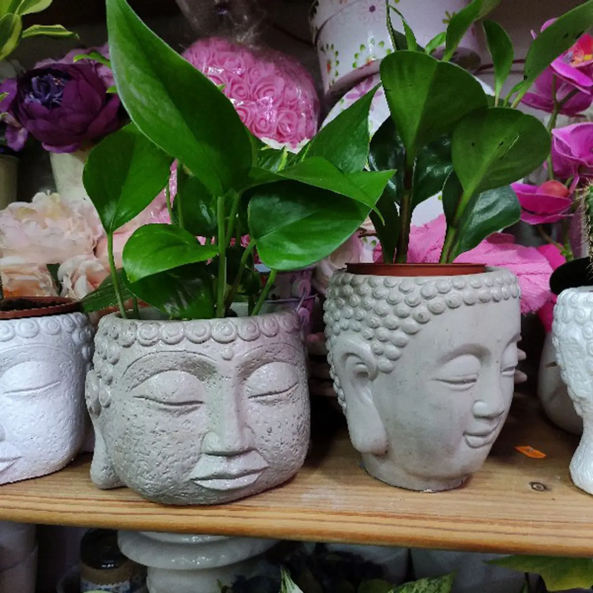 Floristería Bambú Sevilla